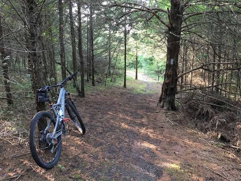 nature trail at Lake LeShane